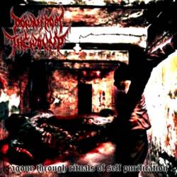 Down From The Wound : Agony Through Rituals of Self Purification